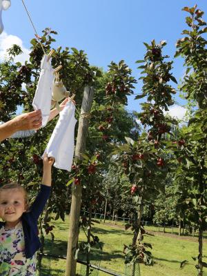 2014 inge hängt Baby wäsche auf