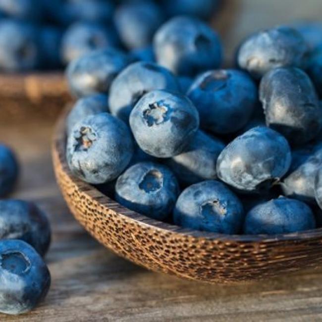 Heidelbeere 4 in Schale