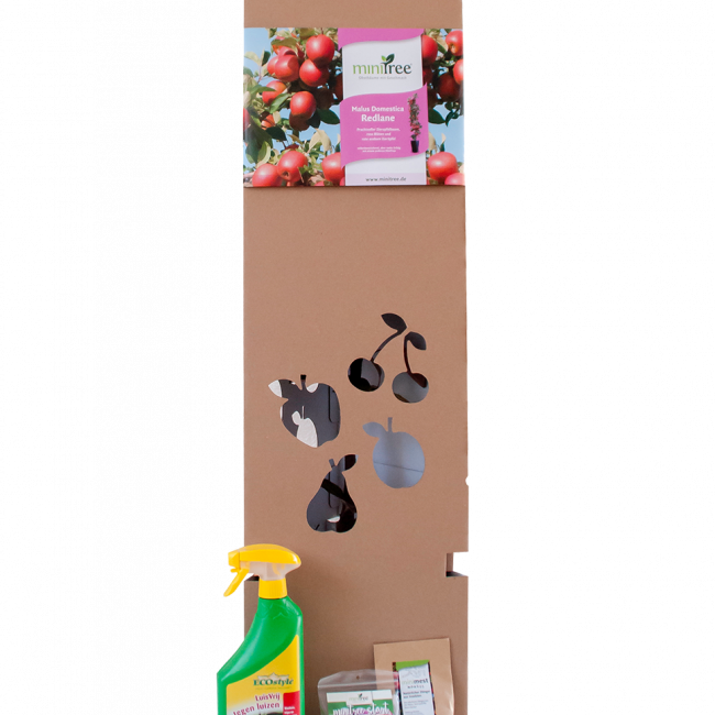 Starterpaket_DE-PLUS