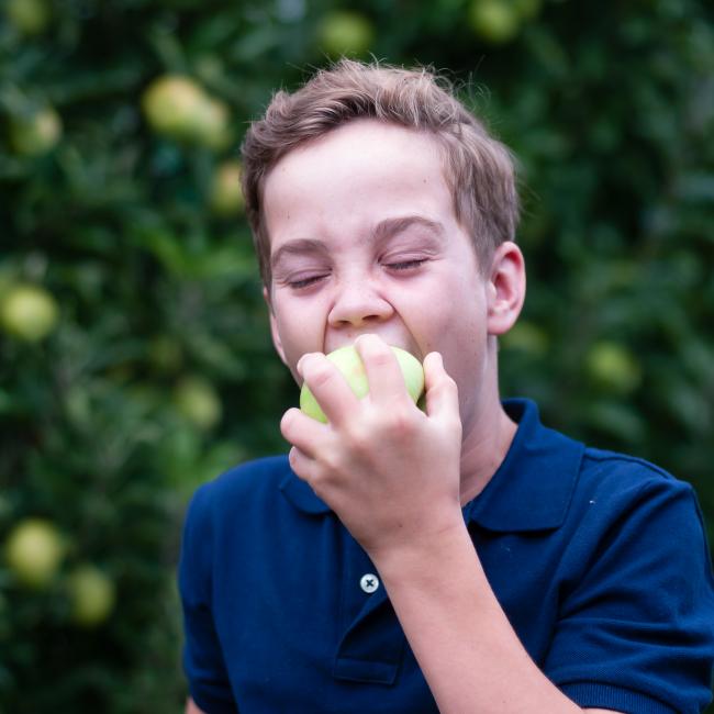 2018 Thijs beißt in einem Goldlane-Apfel 2