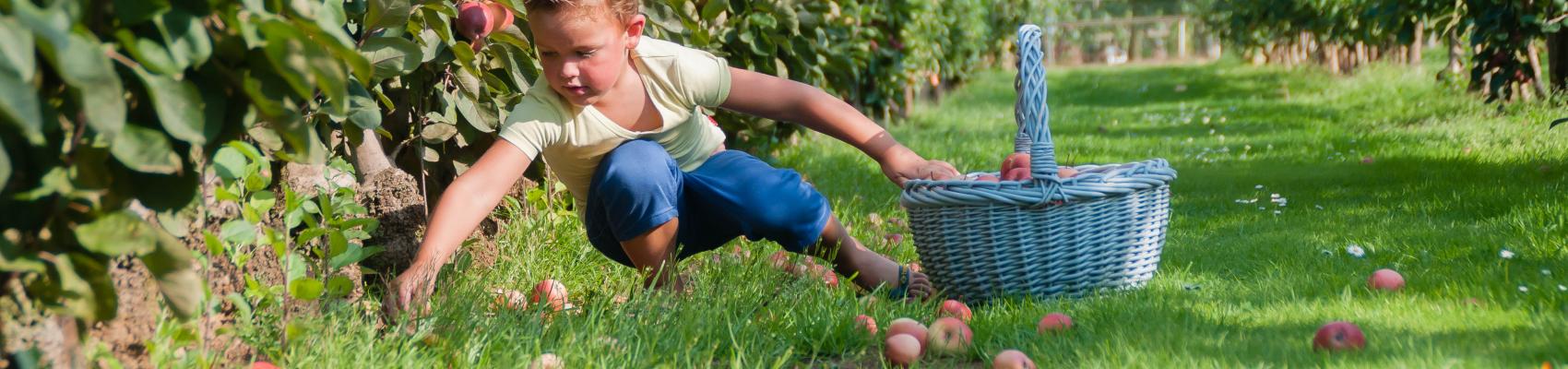 2016 Ruben mit Korb Redlane