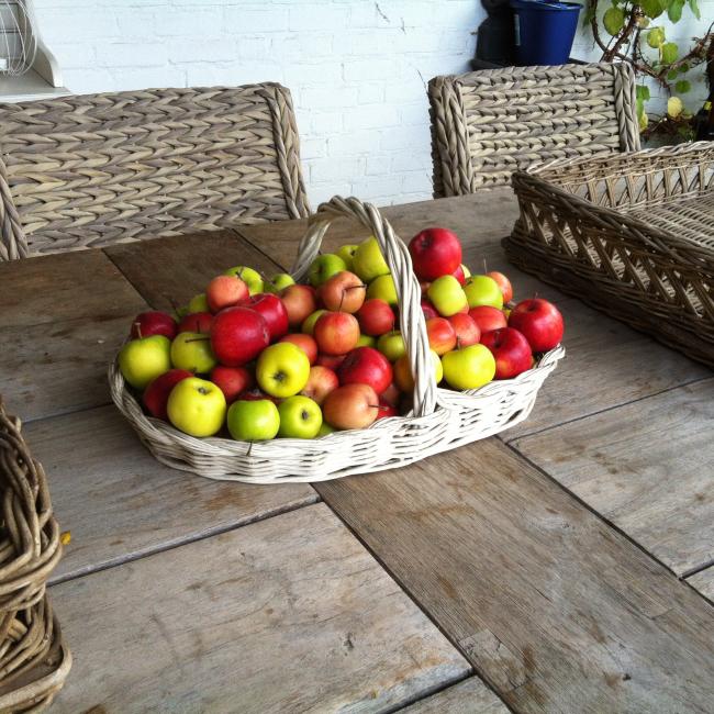 Äpfel in einem Korb auf dem Gartentisch von Mieke