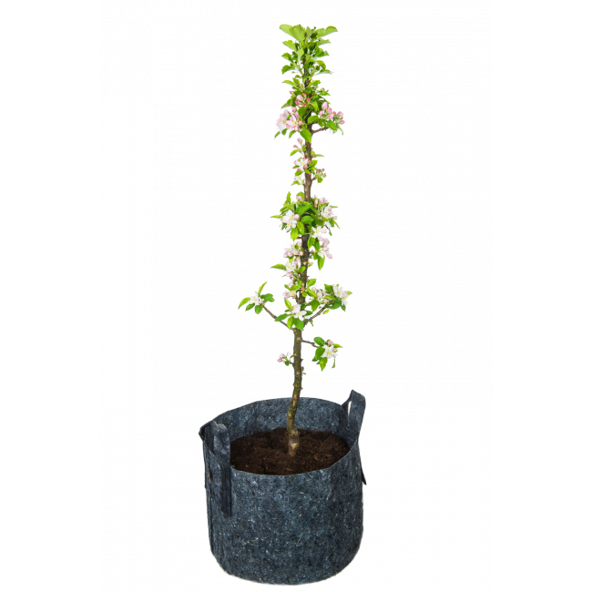 MiniTree grijs-bloesem