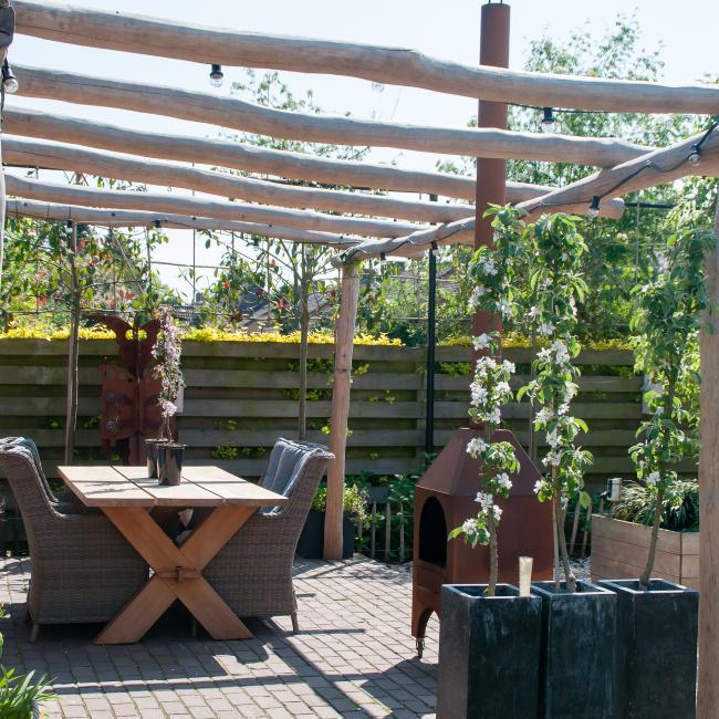 2019 Blüten maes 21 vertikal